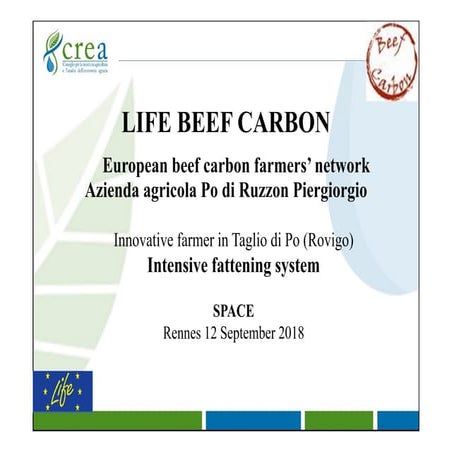 Space2018 life beef carbon farmer ruzzon | PDF