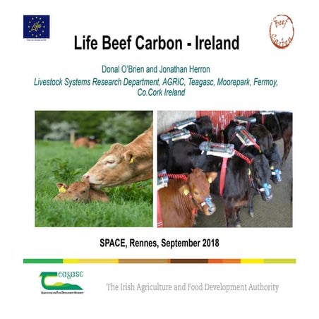 Space2018 life beef carbon ireland