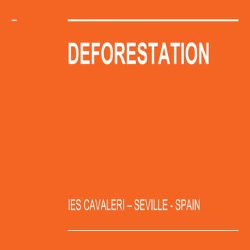 Spain - Boreal deforestation - Finland 2019