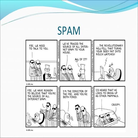 What is SPAM?