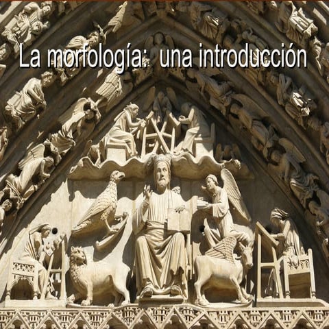 Span 4573 la morfología primera parte 2014