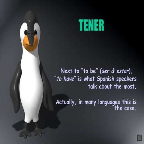 Spanish Verb tener and its expressions