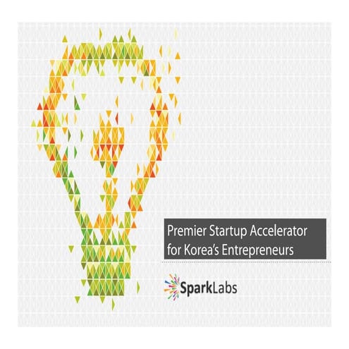 SparkLabs Overview of First Class 2013