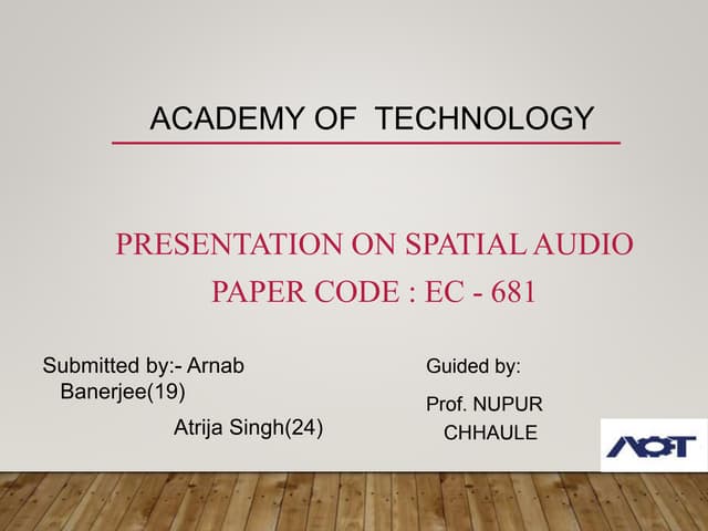 Spatial audio(19,24)
