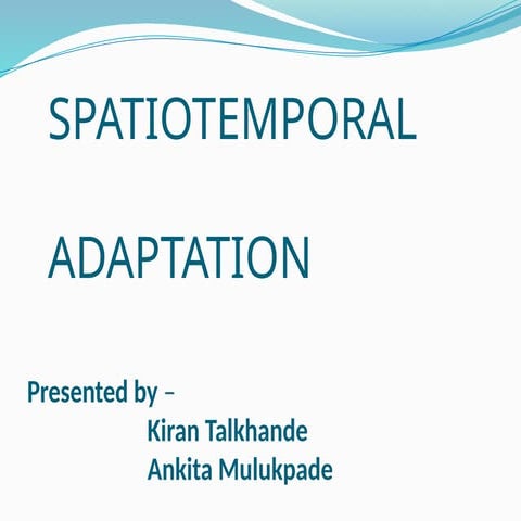 Spatiotemporal Adaptation STA Approch occupational therapy.pptx