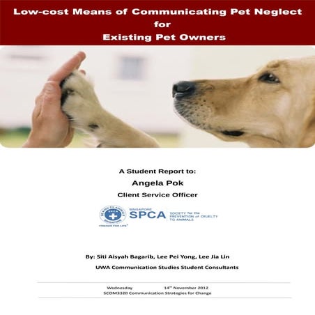 Spca team consultancy report