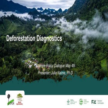Deforestation diagnostics