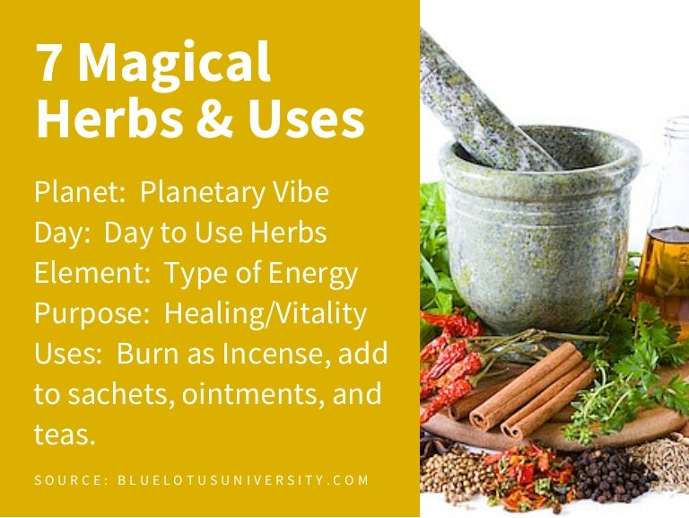 7 Magical Herbs & Their Uses