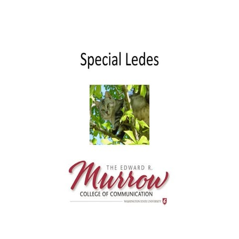 Special Ledes