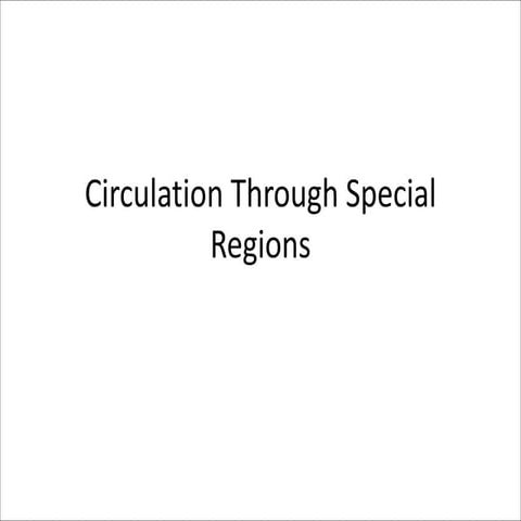 Special circulation