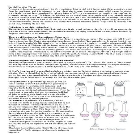 Special creation theory