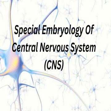 Development of central nervous system | PPTX