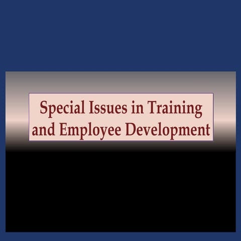 Special Issues in Training and Development - PPT 10.ppt