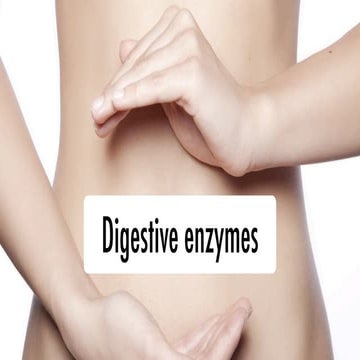 What are digestive enzymes?