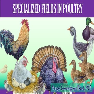 Specialized fields in POULTRY