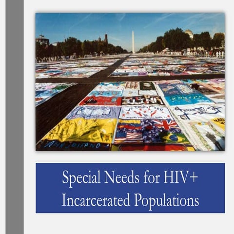Special Needs for HIV+ Incarcerated Populations