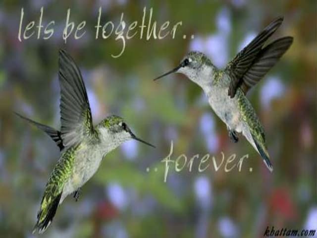 Special quotation