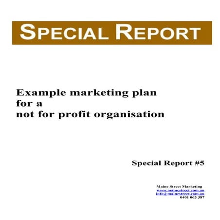 Special Report #5  Not For Profit Marketing Plan