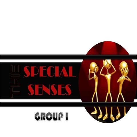 Specialsenses