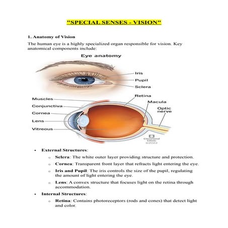 special senses - VISION (ANATOMY, PHYSIOLOGY, INTERVENTIONS , TREATMENTS )