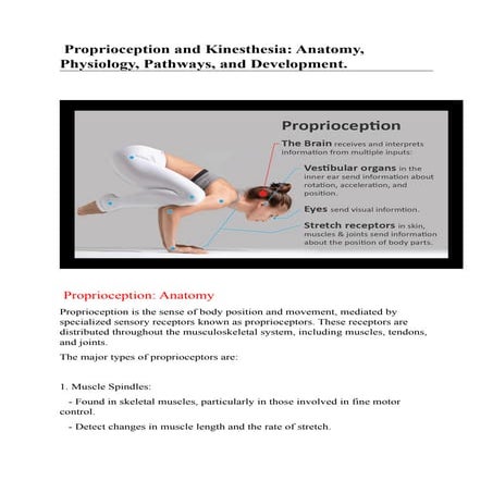 special senses-proprioception and kinesthic.docx