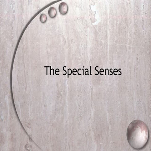 Special senses blog