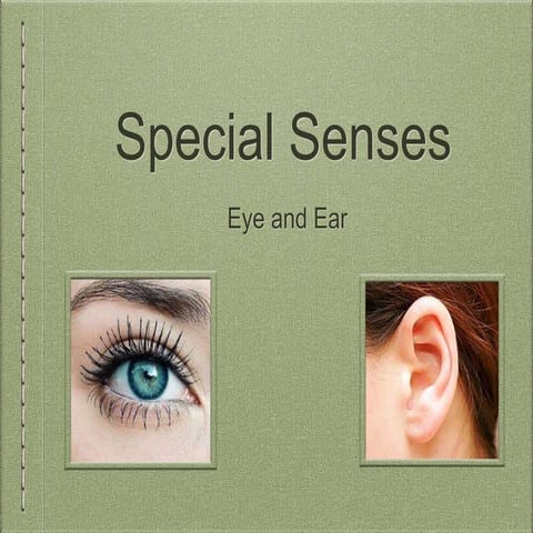 Special senses presentation | PPTX
