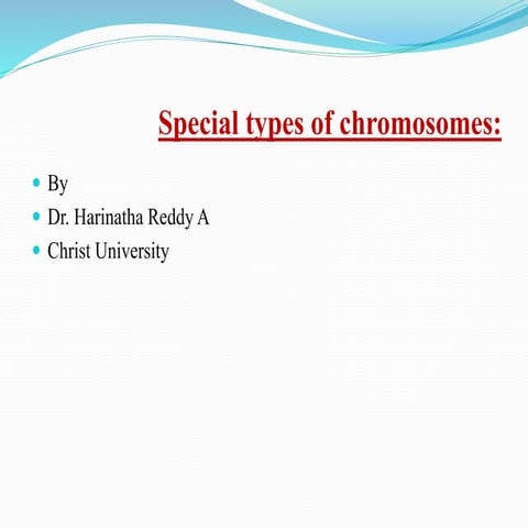 Special type of chromosomes