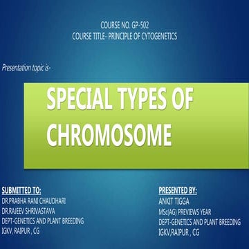 Special types of  chromosome