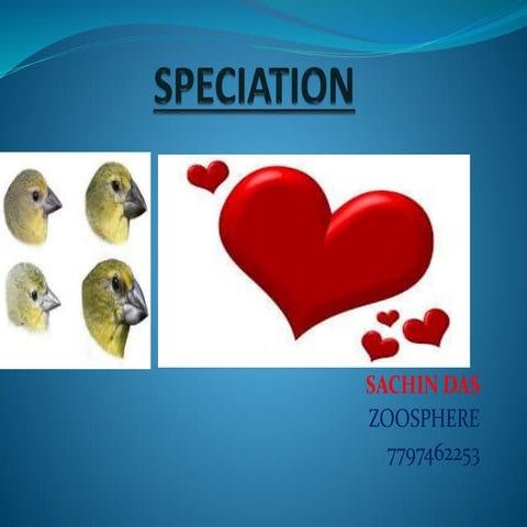Speciation   copy