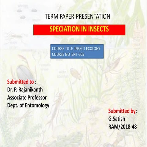 Speciation in insects.