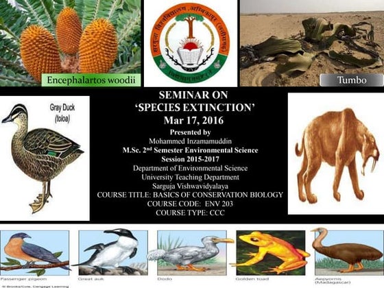 Science Grade 9 species extinction lesson | PPTX