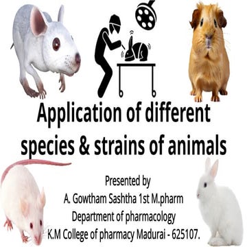 Different species & Strains of animals