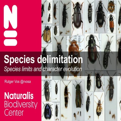 Species delimitation - species limits and character evolution