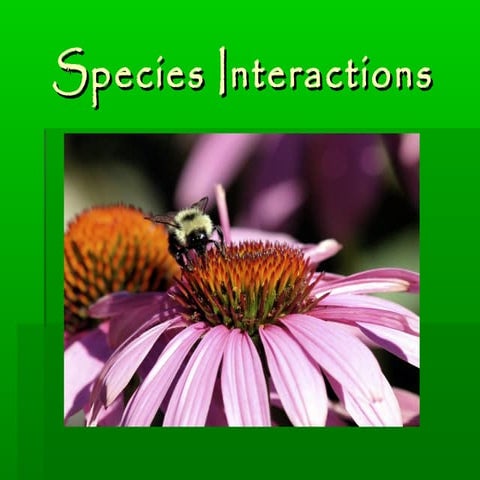 Species Interactions