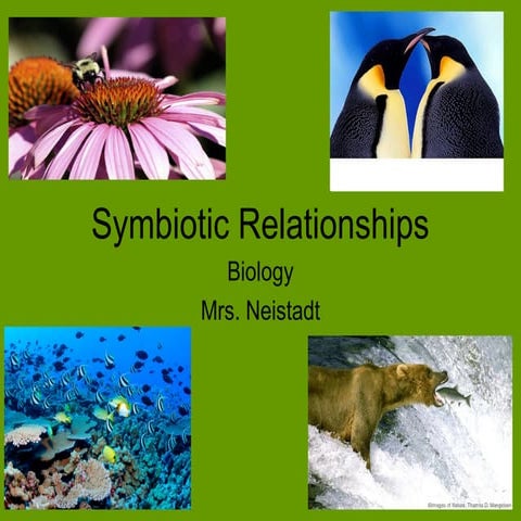 Ecology: Symbiotic Relationships