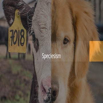 Speciesism | PDF
