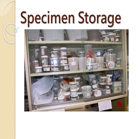 Specimen storage
