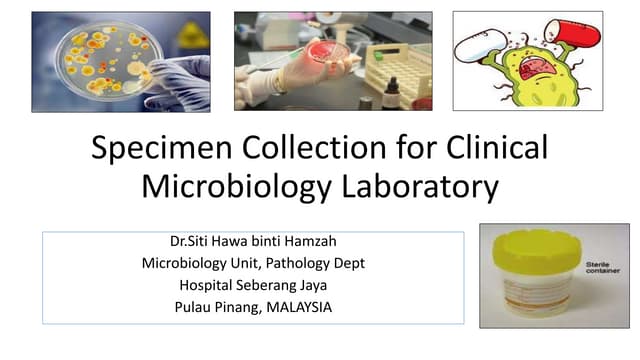 Specimen collection for clinical microbiology laboratory