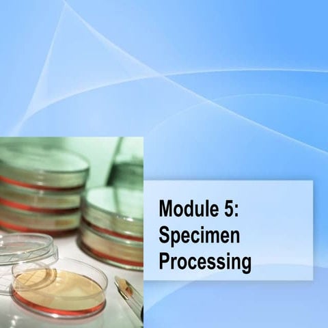 Specimen Processing.ppt