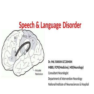 Speech and Language disorders anatomy and localization .pptx