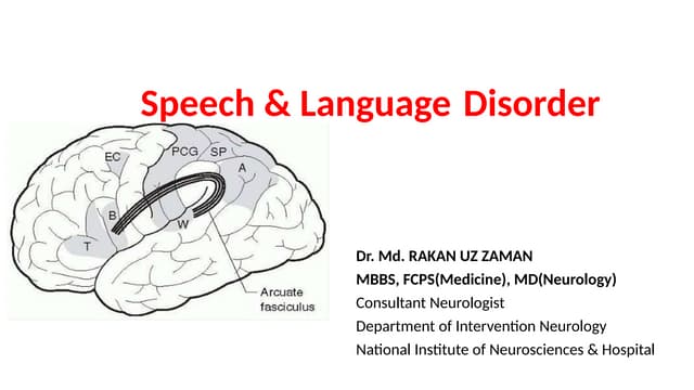 Speech and Language disorders anatomy and localization .pptx
