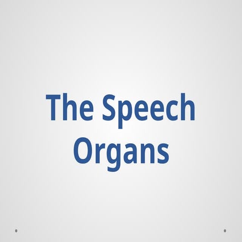 speech organs :Understanding the Mechanisms of Human Speech Production ...
