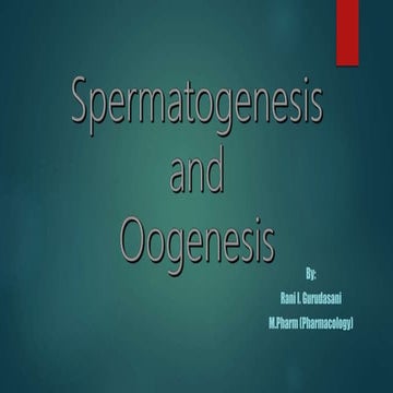 Spermatogenesis and oogenesis