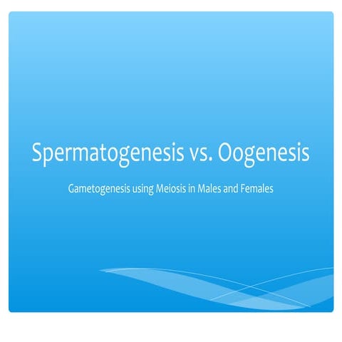 Spermatogenesis vs. oogenesis_-_germinario
