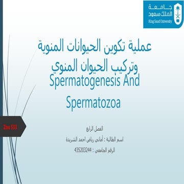Spermatogensis
