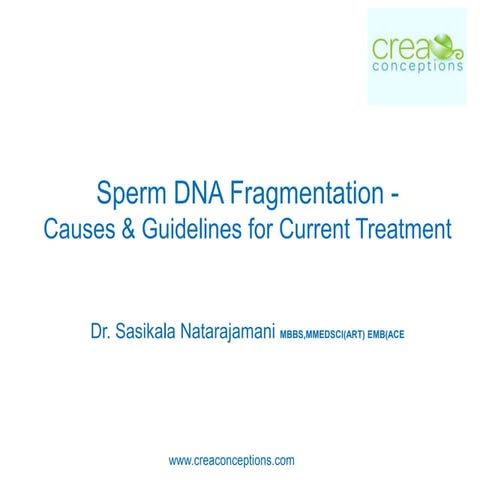 Sperm DNA Fragmentation