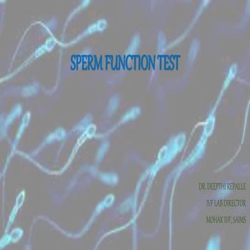 SPERM FUNCTION TEST  IN EMBRYOLOGY .pptx