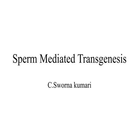 Sperm mediated gene transfer