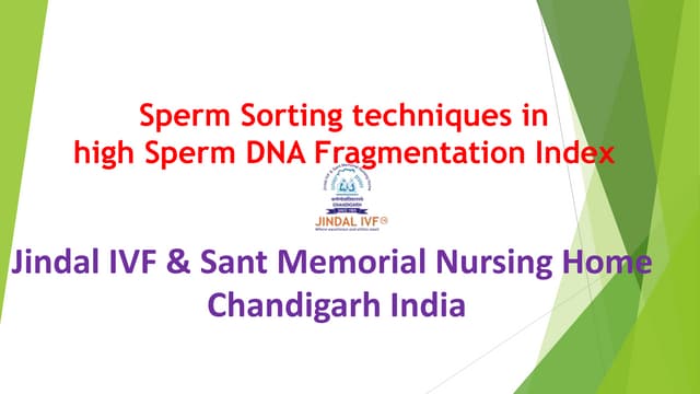Sperm Preparation in High DFI | Jindal IVF